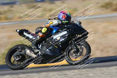 media/Nov-15-2024-CVMA Friday Practice (Fri) [[b142d29251]]/4-Group 4 and Trackday/Session 1 (Turn 14 Speed Pans)/